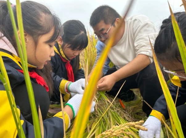 3e8ac48a-8647-44eb-83cb-c9d01134100a.png 3e8ac48a-8647-44eb-83cb-c9d01134100a.png